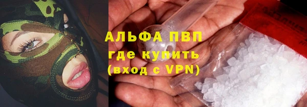 мдпв Дмитриев