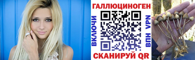 Галлюциногенные грибы мицелий  Купить где  Курчатов 