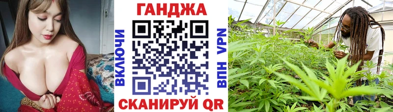 Конопля план Курчатов